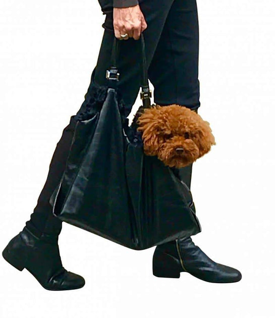 Hollywood Dog Tote Carrier, Black – The Dog Squad