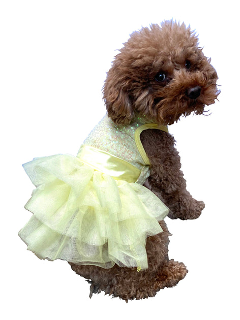 Tutu dress outlet dog