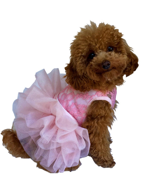 Dog Harness Dress. Rose Couture Dog Dress Tutu Dog Dress 