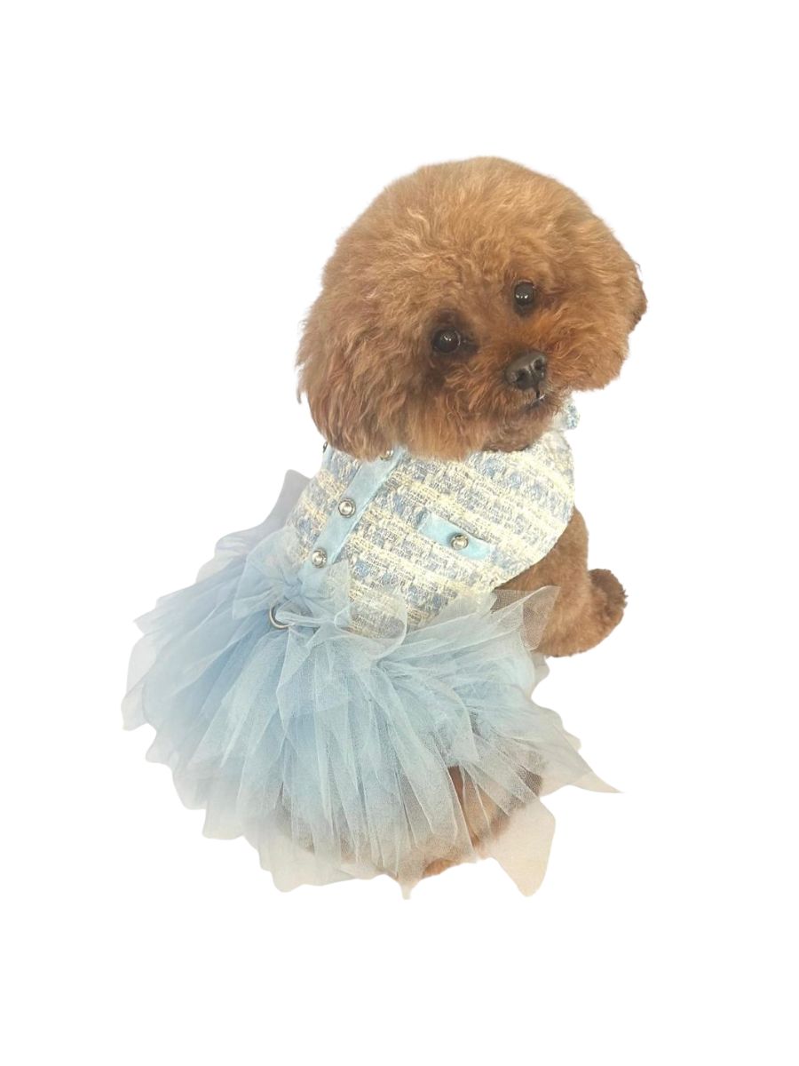 Clothing - Party Dresses & Tutus The Dog Squad Clothing - Party Dresses & Tutus The Dog Squad
