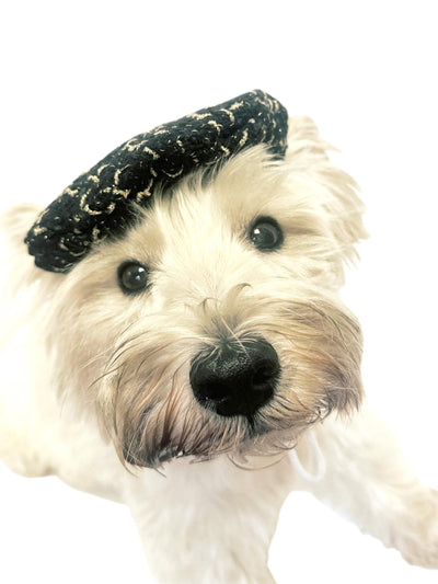 Dog Beret, 2 Tweed Colors!