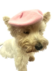 Dog Beret, 4 SOLID Colors!