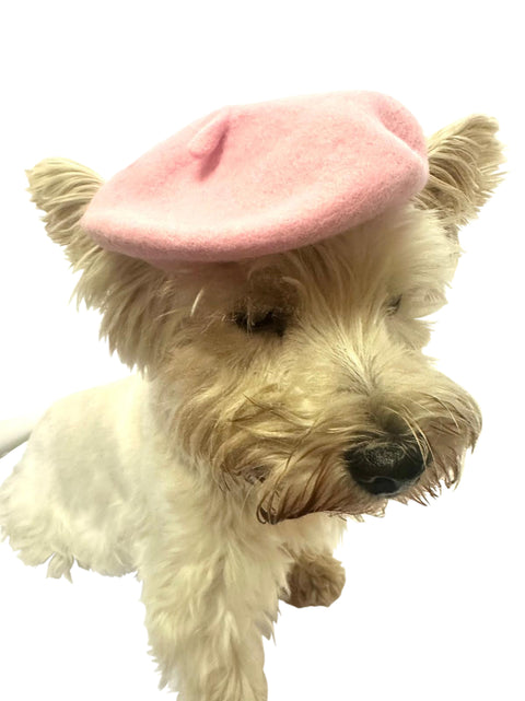 Dog Beret, 4 SOLID Colors!