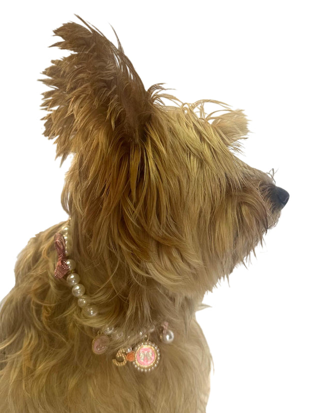 Coco Charm Necklace, Pink