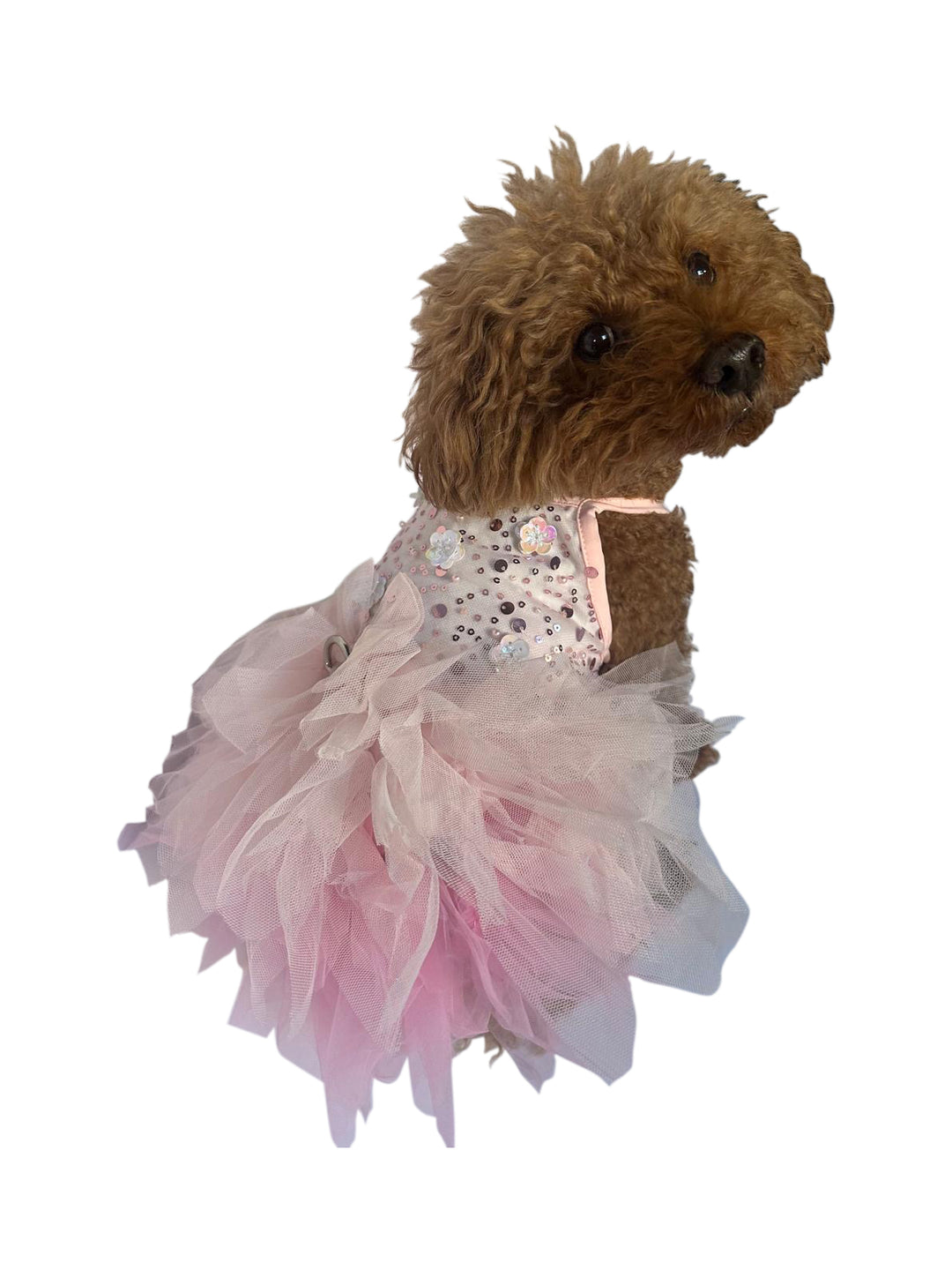 strapless open back dress KUTKUT Small Dog Birthday Dress,Colourfull Polka Print Spring Clothes for  Small Dogs Cat Puppy Kitten Princess Tutu Cute Dog Tulle Dress Pet Party  Dress