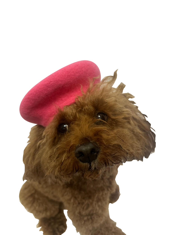 Dog Beret, 4 SOLID Colors!