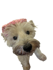 Dog Beret, 2 Tweed Colors!