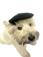 Dog Beret, 4 SOLID Colors!