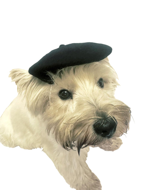 Dog Beret, 4 SOLID Colors!