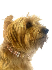 Sparkle & Pearl Dog Collar, Pink