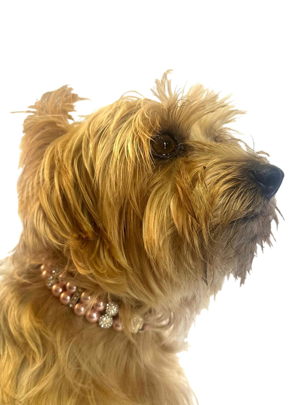 Sparkle & Pearl Dog Collar, Pink