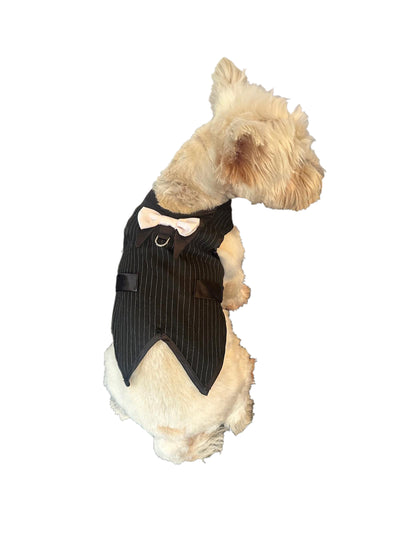 The Rebel Pinstriped Doggie Tuxedo