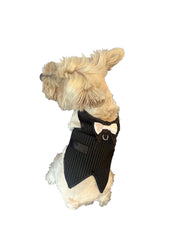 The Rebel Pinstriped Doggie Tuxedo