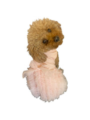 dog dress