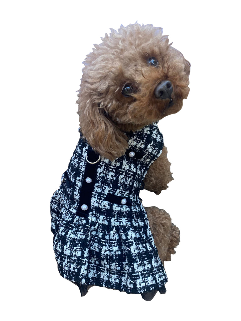 Canine Coco Chanel Dress