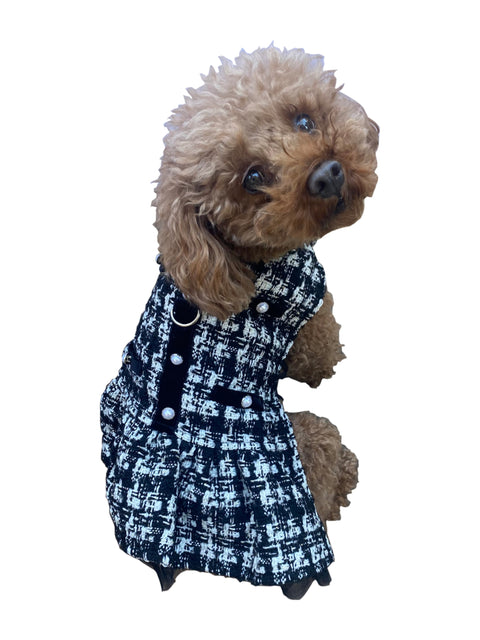 Chanel dog clothes, Dog clothes near me