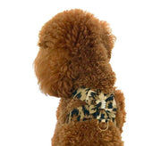Hollywood Bow Dog Harness, Leopard