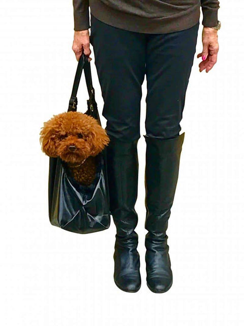 Hollywood Dog Tote Carrier, Black – The Dog Squad