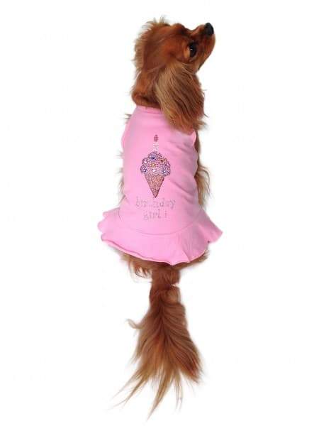 Birthday Girl Ice Cream Dress S Birthday Girl Ice Cream Dress S