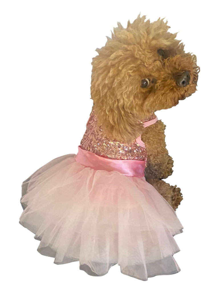 Coco Designer Girl Dog Dress With Bag