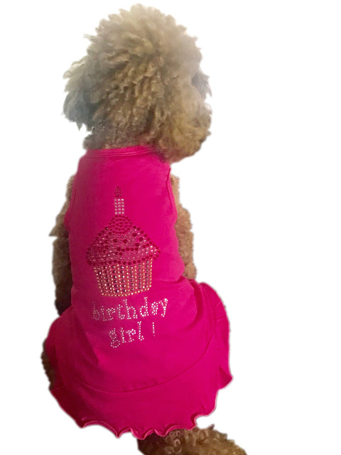 Birthday Girl Cupcake Dress The Dog Squad Birthday Girl Cupcake Dress The Dog Squad