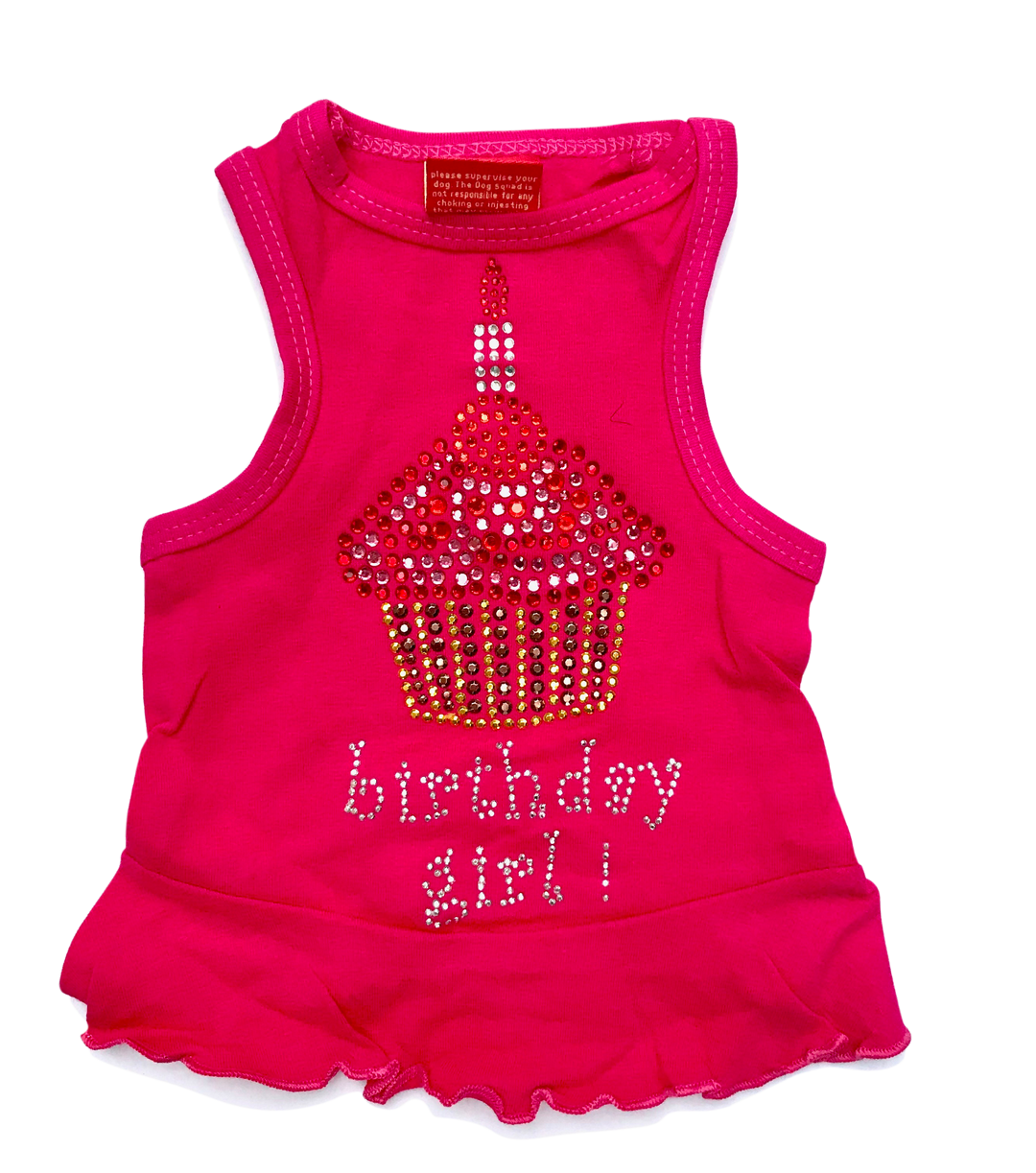 Birthday Girl Cupcake Dress XL