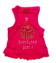 Birthday Girl Cupcake Dress