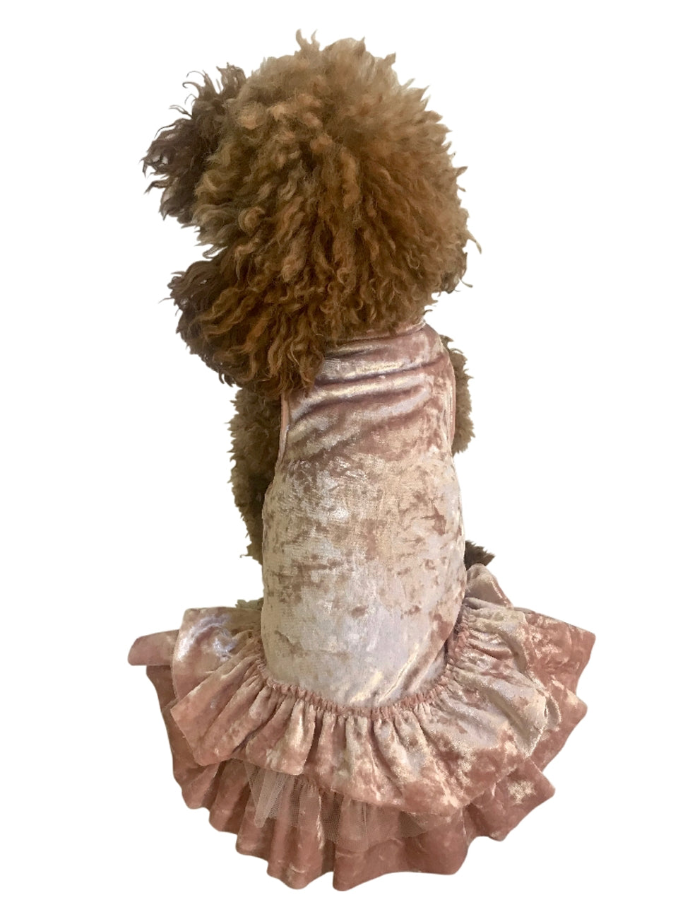 Crushing on YOU Metallic Velvet Dog Dress, Blush XXS