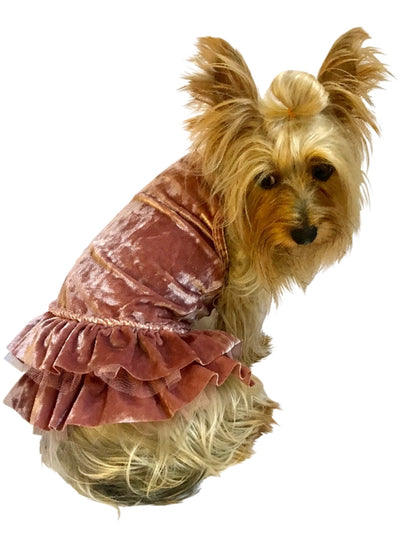 Dear My Puppy - Chanel Dress #dogfashion #dogdress