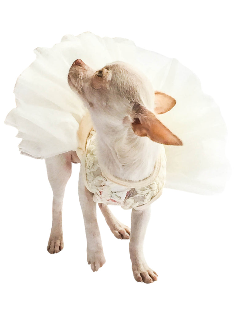Fufu Tutu Lace, Ivory – The Dog Squad