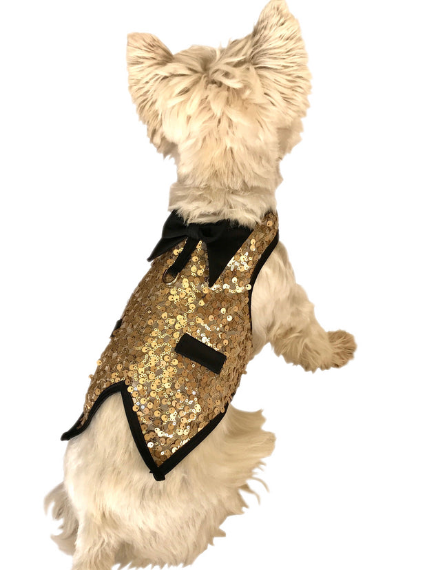 The Gentleman's Doggie Tuxedo, Lt. Gold Sequins