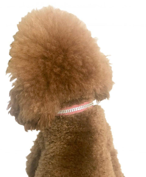 Ultrasuede Glamour Girl Swarovski 2 Row Dog Collar, Bubblegum