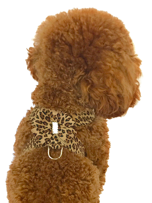 Hollywood Bow Dog Harness, Cheetah