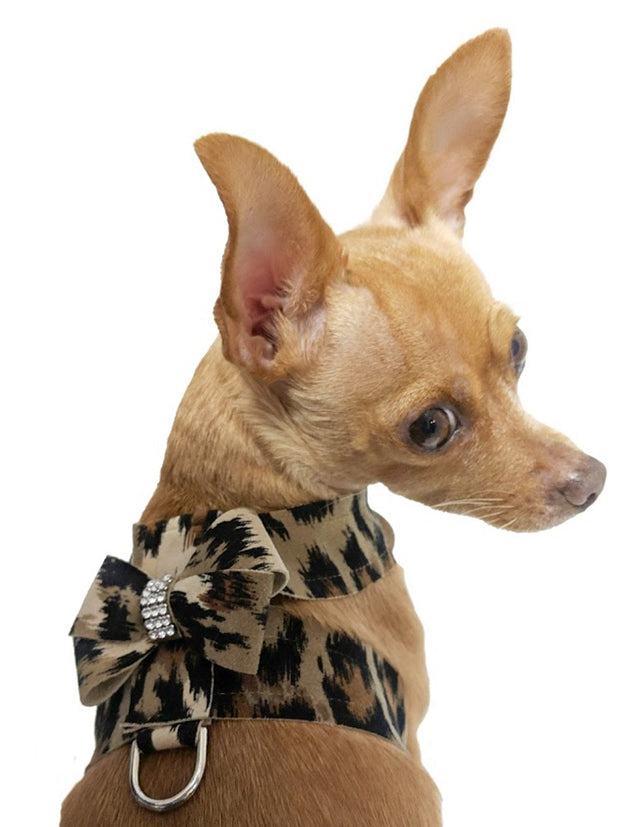 Hollywood Bow Dog Harness, Leopard