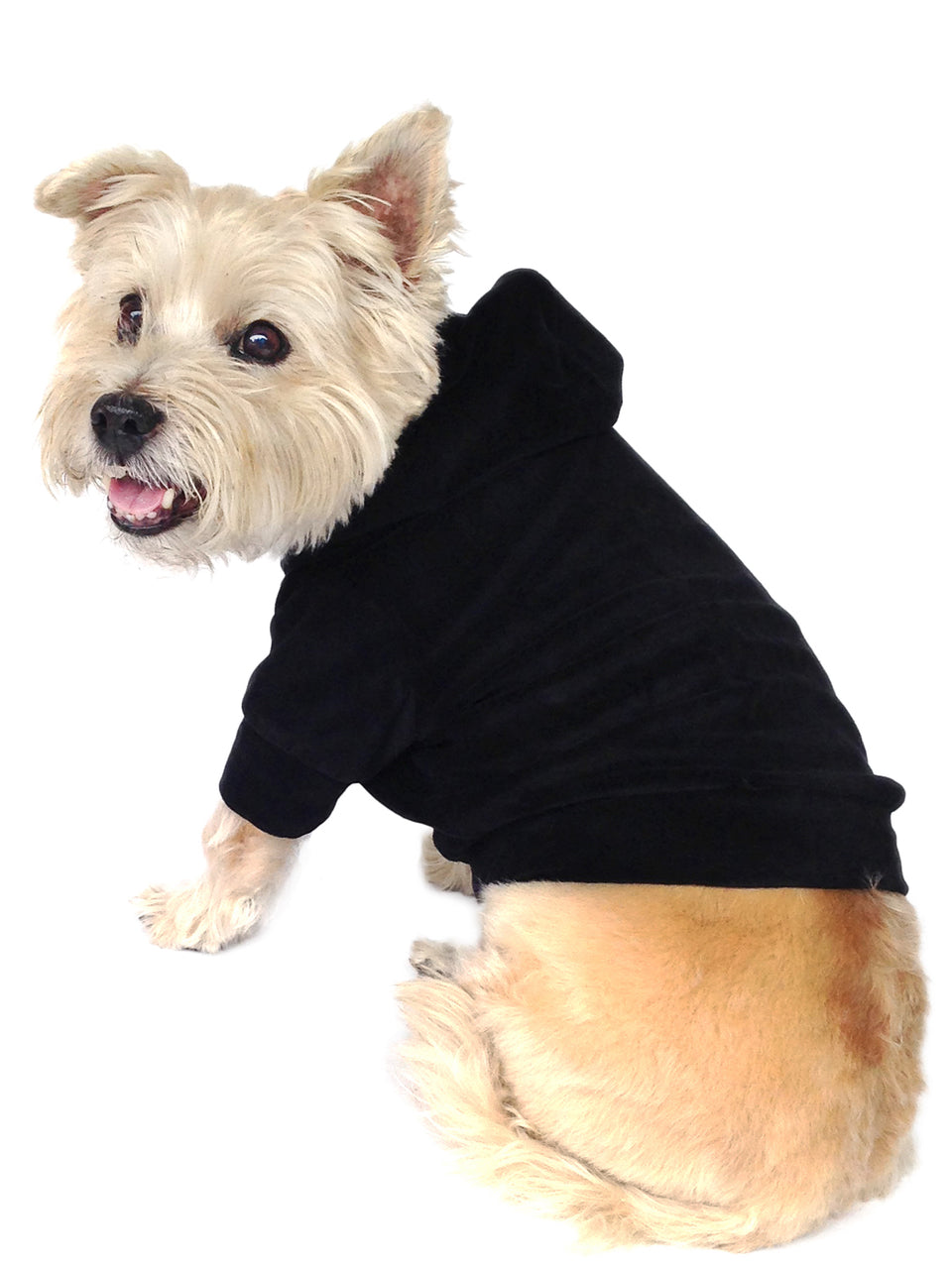 dog gear pullover Velour Pullover Hoodie, Black XS