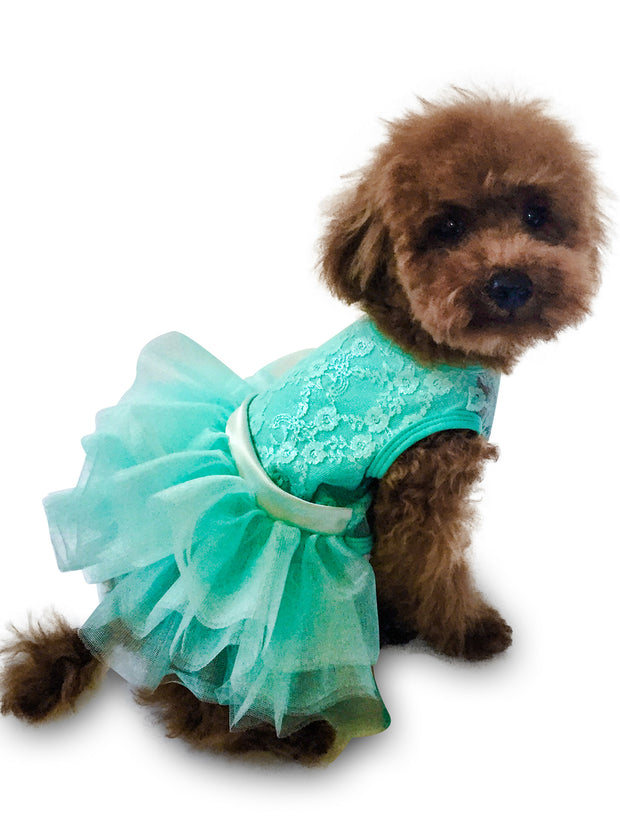Iridescent Lace Tutu, Seafoam