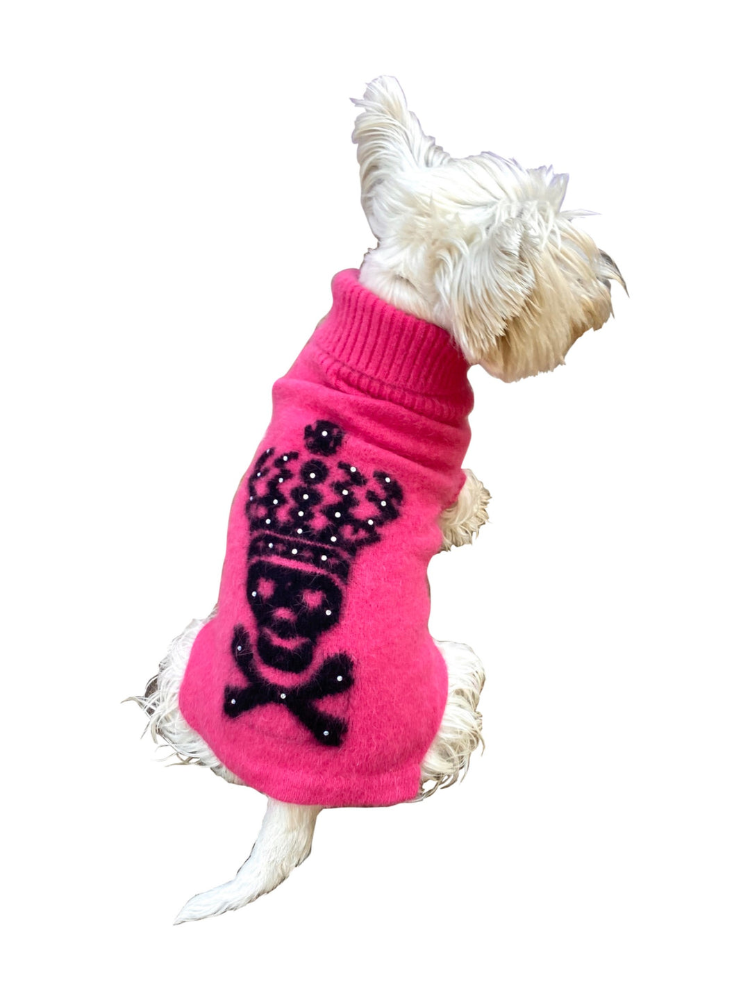 Skull with Crown Turtleneck – The Dog Squad