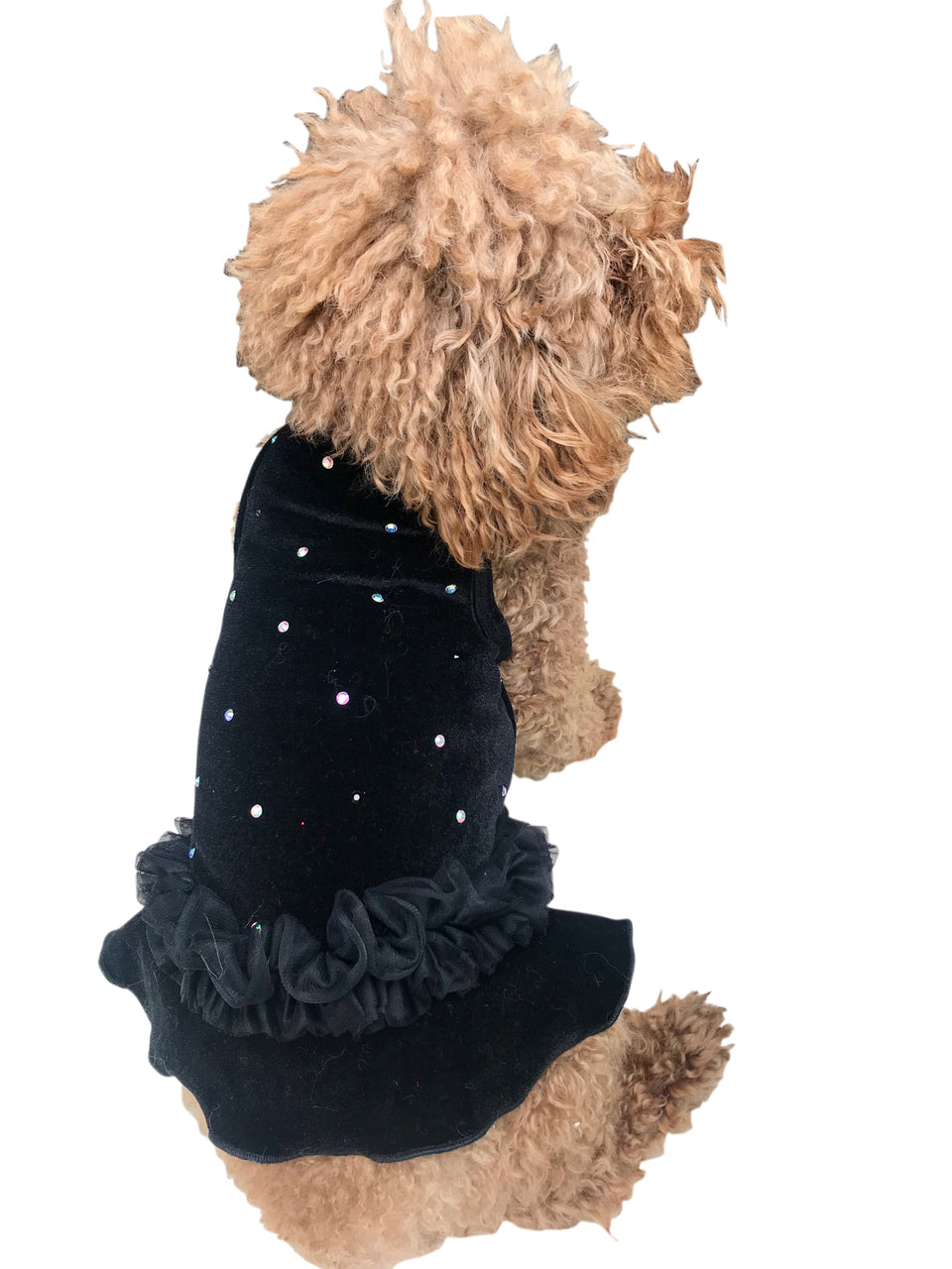 black dog dresses The Squad Velvet Twinkle Tutu Dog Dress - All day comfort in Long Sleeve Floral Dresses Size:38M _okendo:syndication_key:CL136973002