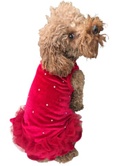 Twinkle Dog Tutu, Red Velvet