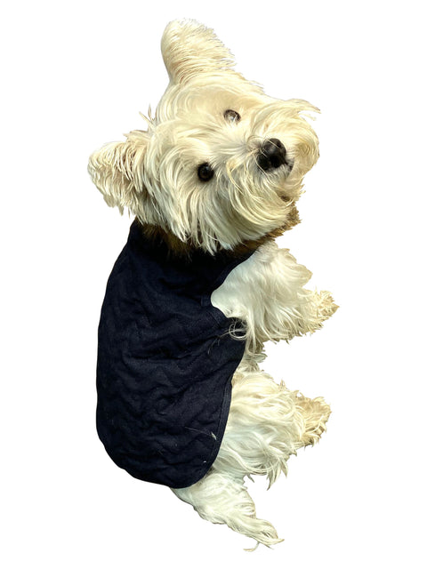 Ziggy Quilted Denim Dog Coat
